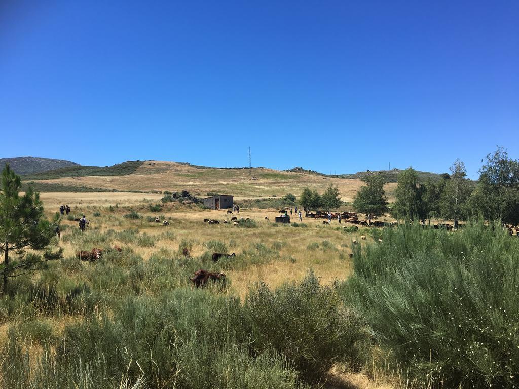 Casas Do Soito Villa Сейя Екстериор снимка
